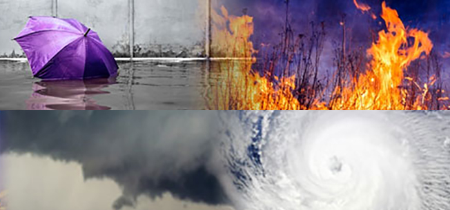 Graphic of Disasters